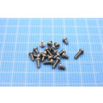 画像: ネジPP2604　プラス・ナベ・ステン　M2.6-L4mm　30本入